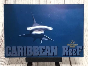 Bonnethead Shark Caribbean Reef Underwater World Minnesota Postcard - Picture 1 of 4