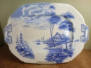 Vintage 1930s, A E Jones, Palissy, 'Lakeland' Pattern, Serving Platter, 37x27cm - Picture 1 of 10