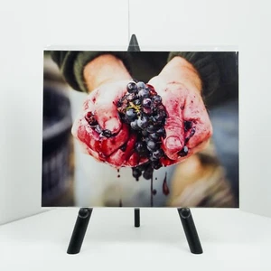 Stampa fine art 8x10 uva/vino - Foto 1 di 1