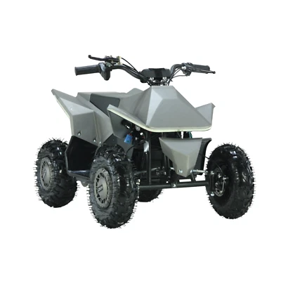 Elektro Cyber Quad Miniquad Atv 1000 Watt 36V Pocketquad Kinderquad ATV M2 Grau - Bild 1 von 4