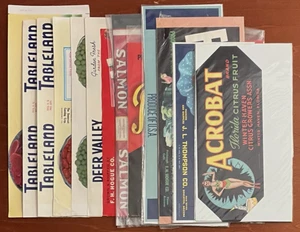 Konvolut 13 Vintage Produkte/Konserven Etiketten * Melonen, Tomaten, Rüben, Lachs - Bild 1 von 12