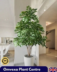 Große 120cm Kunstpflanze für Wohnzimmer Büro Schlafzimmer Deko ohne Topf - Bild 1 von 14