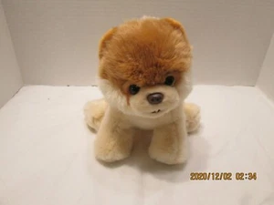 BOO The World's Cutest Dog - GUND 9 inch realistic plush replica - Picture 1 of 3
