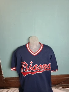 Rawlings Buffalo Bisons Baseball Jersey Men's Large #24 Graham Minor League AAA - Picture 1 of 13