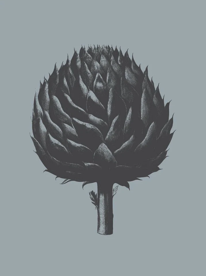 Artichoke Slate Ink, Botanical Series, Wall Art Print Poster 14" x 11"  4321 - Image 1 of 1