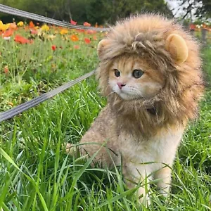 Pets hat Cat Wig Lion Mane Costume Cosplay Kitten Dog Hat With Ears Fancy Party - Picture 1 of 12