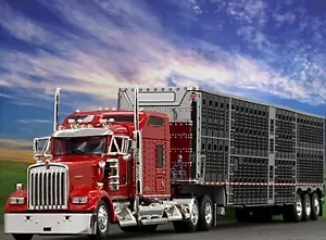 1/64 DCP KENWORTH W900L W/ 86" STUDIO SLEEPER & WILSON TRI AXLE CATTLE TRL - Picture 1 of 8