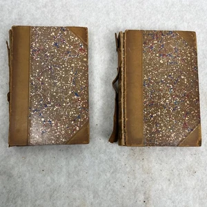 1886 Dante Divine Comedy Vol I Inferno & II Purgaatorio Longfellow Half Leather - Imagen 1 de 13