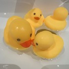 Quietscheenten, Gummienten zum Baden