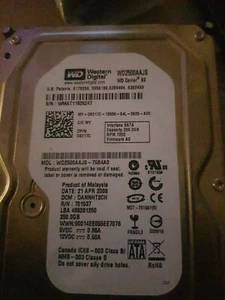 Western Digital 3.5" 250gb HDD - Afbeelding 1 van 1