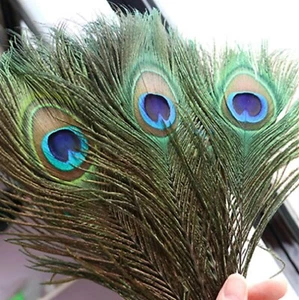 1-20 Peacock Tail Feathers Natural 25-30cm Bouquet DIY Home Hat Costume Varse UK - Picture 1 of 8