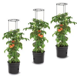3x Plastic Tomato Plant Set 3pcs Plant Pot 12L, Tomato Grower - Picture 1 of 6