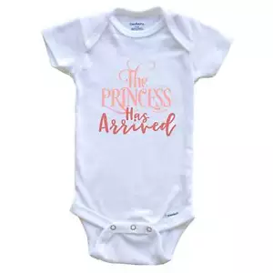 The Princess Has Arrived Funny Baby Girl Cute One Piece Baby Bodysuit - Picture 1 of 2