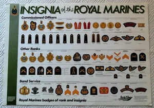 ROYAL MARINES~BADGES OF RANK & INSIGNIA~COMMISSIONED OFFICERS & OTHER RANKS~~ - Picture 1 of 6