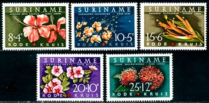 1962 Red Cross,Flora,Flowers,Periwinkle,Heliconia ,Hibiscus,Suriname,416,MNH - Picture 1 of 2