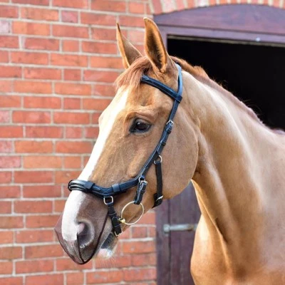 Equilibrium Nose Muzzle Net Anatomical Bridle Pollen & Head Shaking Relief Black - Image 1 of 2