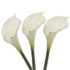 Paquete Artificial Táctil Real Calla Lirio de 3 Vástagos 66cm/26 Pulgadas Blanco - Imagen 1 de 2