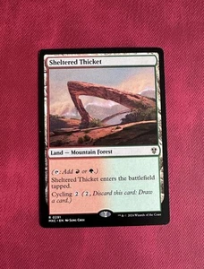 Sheltered Thicket - NM - MTG Murders at Karlov Manor - Magic the Gathering - Picture 1 of 1