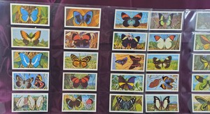 1964 Brooke Bond Tea Cigarette Cards "Butterflies of the World" 50 Card Set