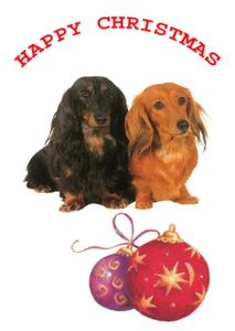 LONGHAIRED DACHSHUND SINGLE DOG PRINT GREETING CHRISTMAS CARD - Picture 1 of 1