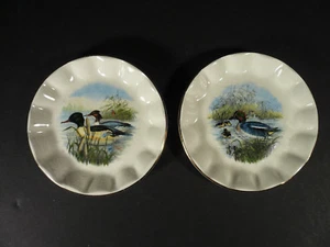 Vintage John Gould #1 Goosander & #5 Teal The Wildfowl Series Trinket Dishes - Picture 1 of 6