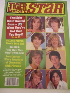 Shaun Cassidy, Village People - Tiger Beat Star Magazine 1979 - Picture 1 of 1