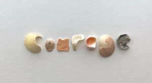 Frammento di conchiglia da spiaggia naturale a forma di lettera CORAGGIO arte artigianato ciottolo USA - Foto 1 di 14