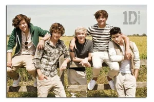 88256 One Direction In The Summer Large Maxi Wall Decor Wall Print Poster - Picture 1 of 7