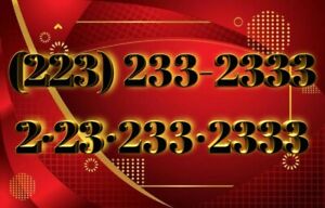 223 Area Vanity Easy Phone Number (223) 233-2333 Pennsylvania two digits only