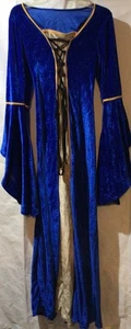 NWOT Adult Costume Blue & Gold Medievil Gothic Long Dress - Picture 1 of 7
