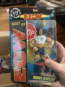 Stevie Richards Best of ECW figure in box - Picture 1 of 1
