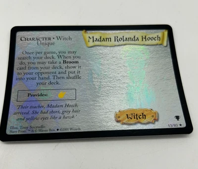 Harry Potter TCG Quidditch Cup Madam Rolanda Hooch Holo Rare # 13/80 - NM - Image 1 of 4