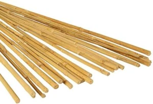 Bamboo Wooden Sticks Plant Trees Stakes Natural 3 Foot Garden Vegetable 25 Pack - Picture 1 of 5