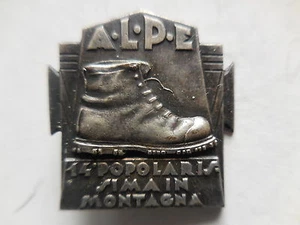 distintivo ALPE 14° popolarisisma in Montagna alpini escursionisti - Picture 1 of 1