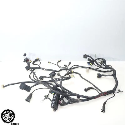 Ducati Monster S2R 800 2006 arnés de cableado principal Foto 1 de 4