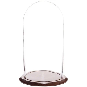 Plymor 9.75" x 20" Glass Display Dome Cloche (Walnut Base) - Picture 1 of 1