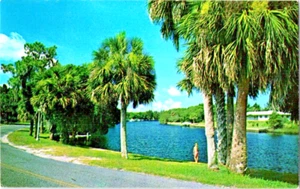 Dixie Boulevard Cotee Fluss New Port Richie Florida Postkarte A61 - Bild 1 von 2