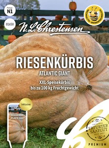 Riesenkürbis 'Atlantic Giant' - Cucurbita maxima, Kürbis, Samen, 01650