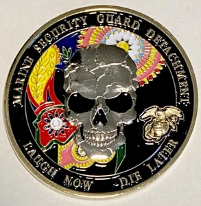 MSG-D Marine Security Guard Detachment Lahore, Pakistan Challenge Coin - Picture 1 of 4