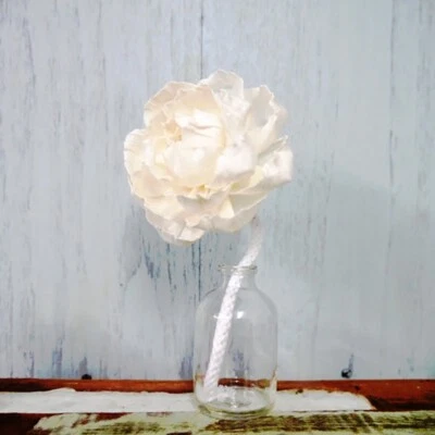 9 Peony Rose Sola Wood Diffuser Flowers 8 cm Dia. with Cotton Rope and A/W/S - Image 1 of 4