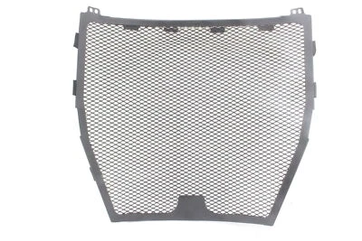 Ducati Streetfighter V4 S 2020 radiador motor enfriador protección de refrigeración Foto 1 de 3