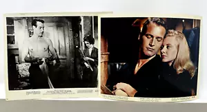Lotto di 2 foto Paul Newman Lobby Cards The Hustler Sweet Bird of Youth - Foto 1 di 11