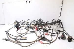 EVS E Force Electric ATV Wiring Harness Dash LCD Instrument Panel Key Switch - Imagen 1 de 12