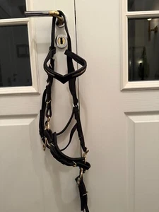 SABRO Hackamore, Elchleder, schwarz, gebisslos - Bild 1 von 6