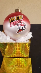 De colección Iowa State Cyclones Adorno de Navidad Bola de Vidrio Cy Bird Cyclone - Imagen 1 de 16