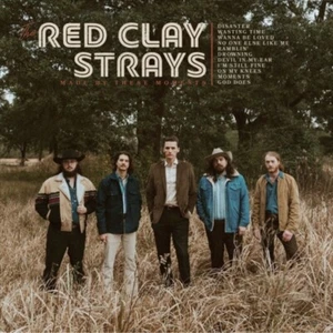 Strays de arcilla roja - Grabación de vinilo hecha por estos momentos - Imagen 1 de 1