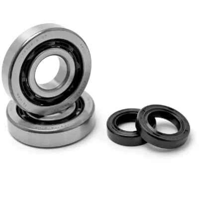 KIT CUSCINETTI + PARAOLI MOTORE PIAGGIO ZIP/TYPHOON/NRG/GILERA STALKER/RUNNER - Immagine 1 di 2