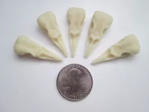 Set of 5 Handmade Bird Skull Polymer Clay Beads - Picture 1 of 5