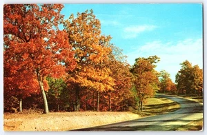 Follaje de otoño curvo camino árboles escénicos otoño vintage postal CK-198 sin usar EE. UU. - Imagen 1 de 2