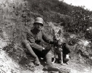 Animales de guerra alemanes Primera Guerra Mundial 8x10 Primera Guerra Mundial Foto 59 - Imagen 1 de 2